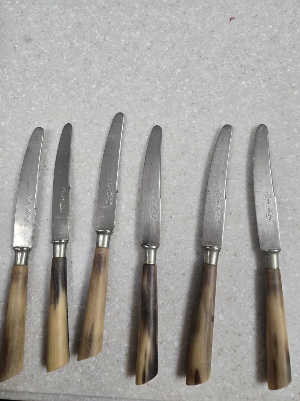 Vintage Rein-Nickel Horn-Handle Dinner Knife Set - 6 Piece